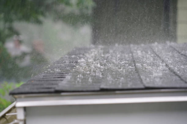 Best Asphalt Shingle Roofing  in Ravensworth, VA